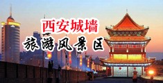 小穴18p中国陕西-西安城墙旅游风景区