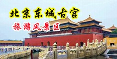 学生妹自慰破处中国北京-东城古宫旅游风景区